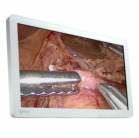 EIZO 26 Color LCD Full HD Color Surgical